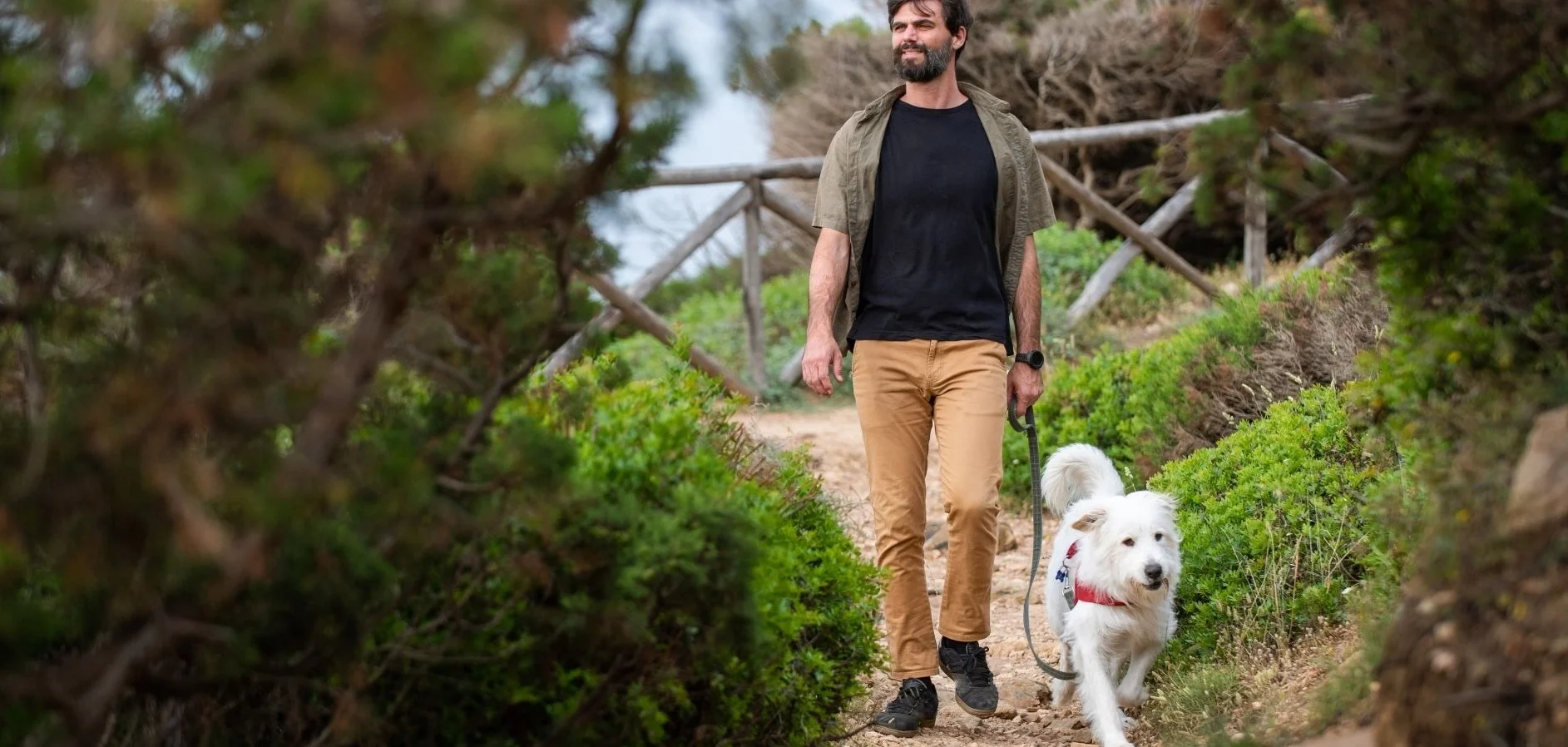Dog Care Essentials