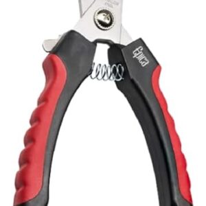 31xonumy4 l. ac .jpg