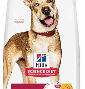 41bwll9sxil. ac .jpg