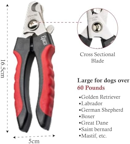 41iuq8oh3zl. ac .jpg 41iuq8oh3zl. ac .jpg