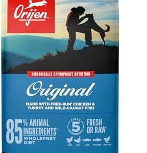 41noi2uxvcl. ac .jpg