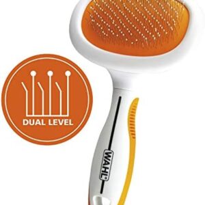 41runcqqcal. ac .jpg