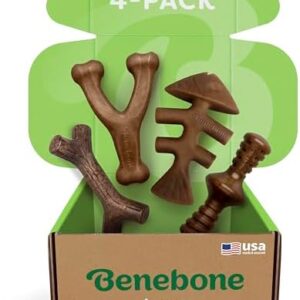 41ujpo20lpl. ac .jpg