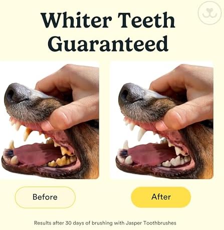 41bgjax9mkl. ac .jpg 41bgjax9mkl. ac .jpg