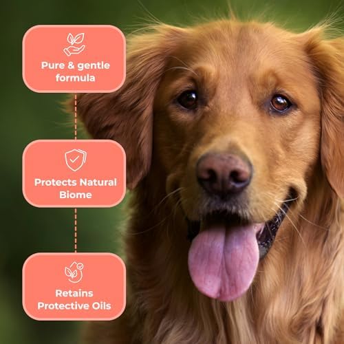 41cydgbnakl. ac .jpg 41cydgbnakl. ac .jpg