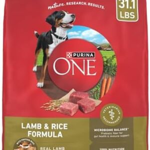 41hzdgaahml. ac .jpg