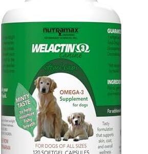 41jsbagtoll. ac .jpg