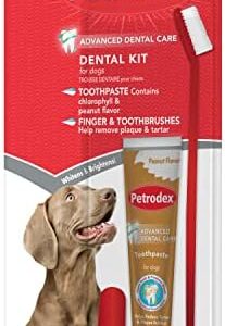 41xytku7zul. ac .jpg