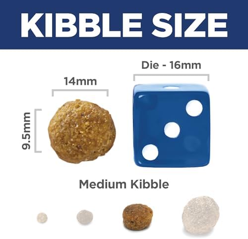 41zjv35tynl. ac .jpg 41zjv35tynl. ac .jpg