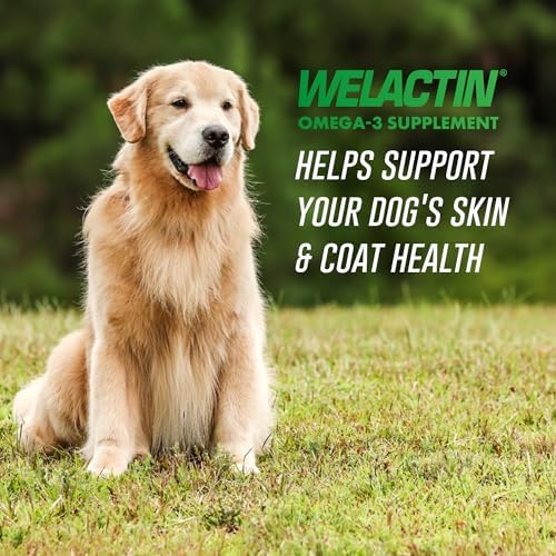 510c0o8tydl. ac .jpg 510c0o8tydl. ac .jpg