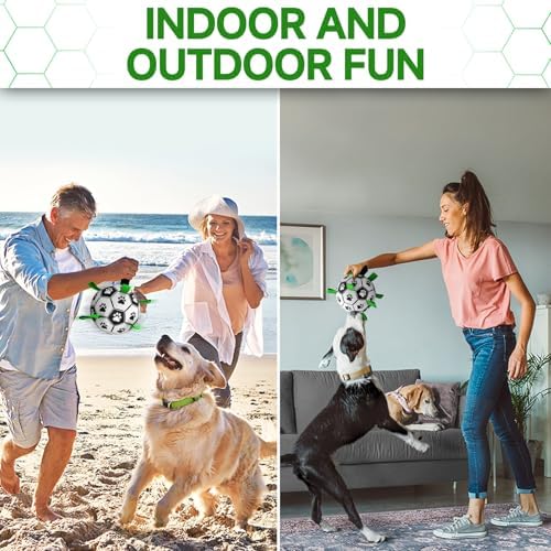 51c h58yyil. ac .jpg 51c h58yyil. ac .jpg