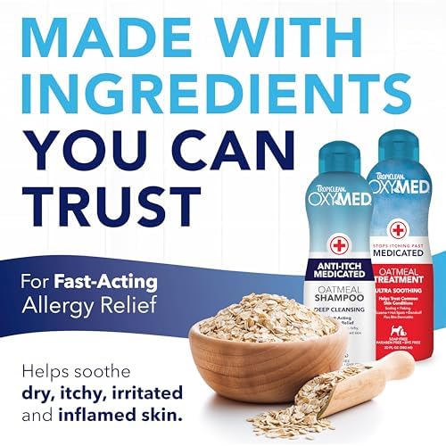 51fbyzbkhnl. ac .jpg 51fbyzbkhnl. ac .jpg