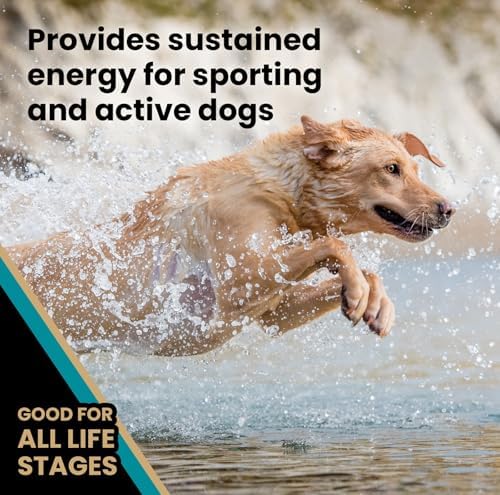 51i06f93mml. ac .jpg 51i06f93mml. ac .jpg