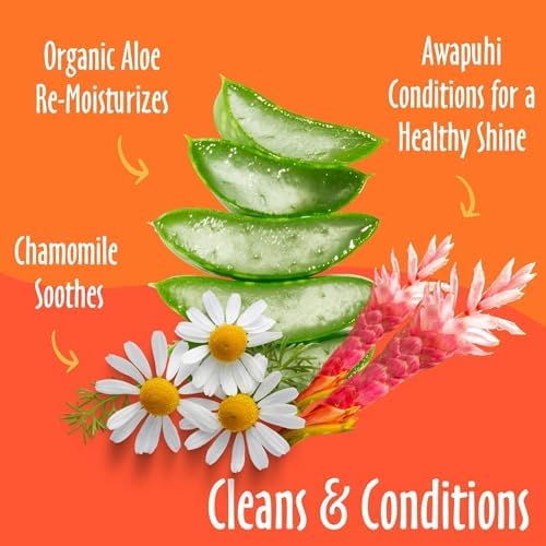 51i2vajwbl. ac .jpg 51i2vajwbl. ac .jpg