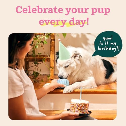 51idt6ksgxl. ac .jpg 51idt6ksgxl. ac .jpg