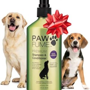 51l3yuz9dgl. ac .jpg