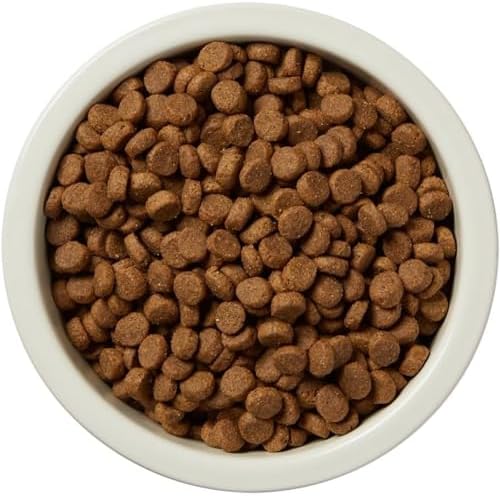 51pbvk7cnsl. ac .jpg 51pbvk7cnsl. ac .jpg