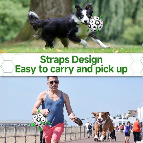 51py8akjdbl. ac .jpg 51py8akjdbl. ac .jpg