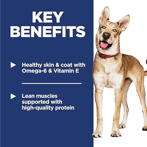 51qd3poeqyl. ac .jpg 51qd3poeqyl. ac .jpg