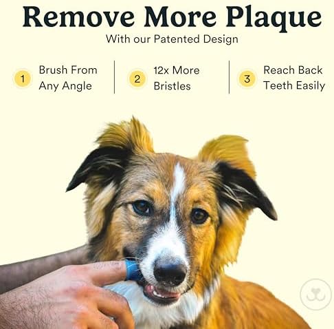 51lw4ltkp5l. ac .jpg 51lw4ltkp5l. ac .jpg