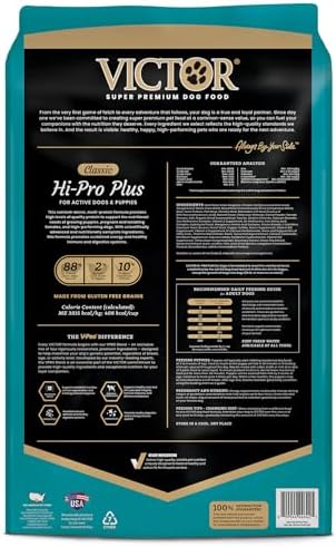 51nsqj9yx8l. ac .jpg 51nsqj9yx8l. ac .jpg