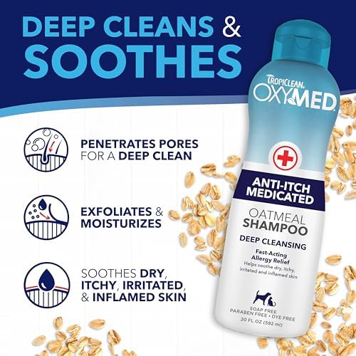 51phprdja9l. ac .jpg 51phprdja9l. ac .jpg