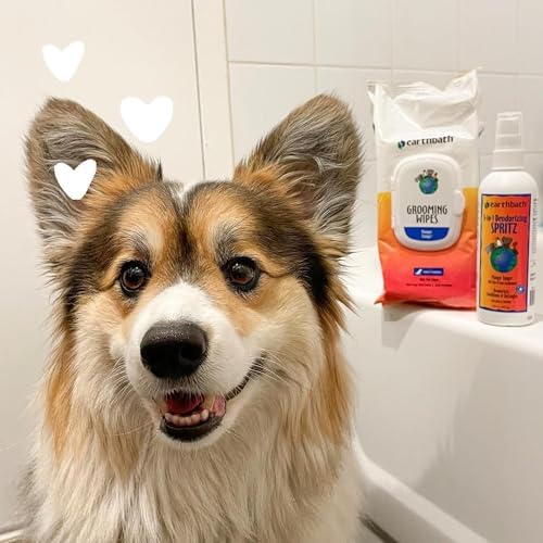 51vipn0uajl. ac .jpg 51vipn0uajl. ac .jpg