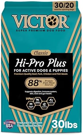 51xv4gey92l. ac .jpg 51xv4gey92l. ac .jpg