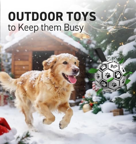 51y62vyd9il. ac .jpg 51y62vyd9il. ac .jpg