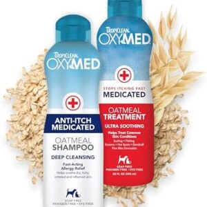 51yaquq1vzl. ac .jpg